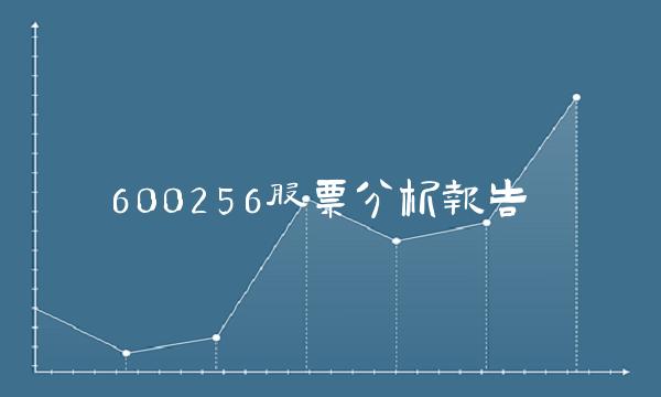 600256股票分析报告(1)