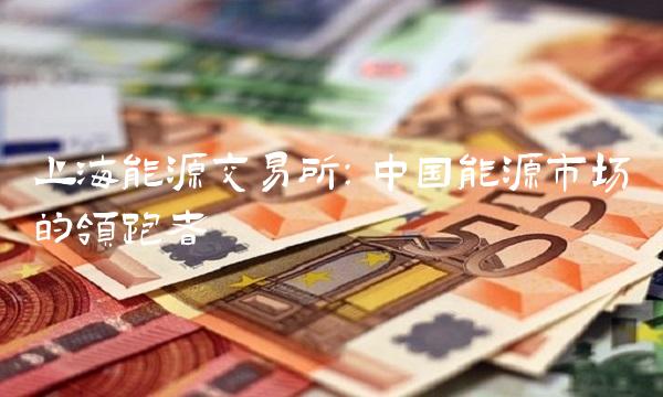 上海能源交易所：中国能源市场的领跑者
