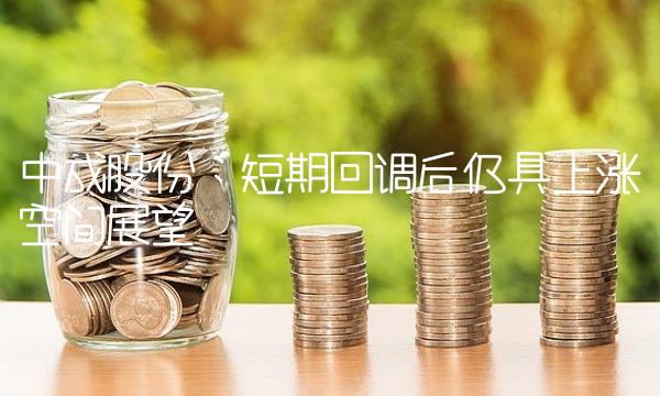 中成股份：短期回调后仍具上涨空间展望