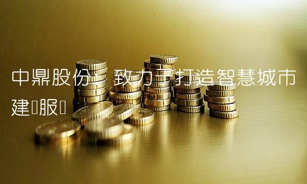 中鼎股份：致力于打造智慧城市建设服务