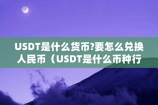 USDT是什么货币?要怎么兑换人民币（USDT是什么币种行情）