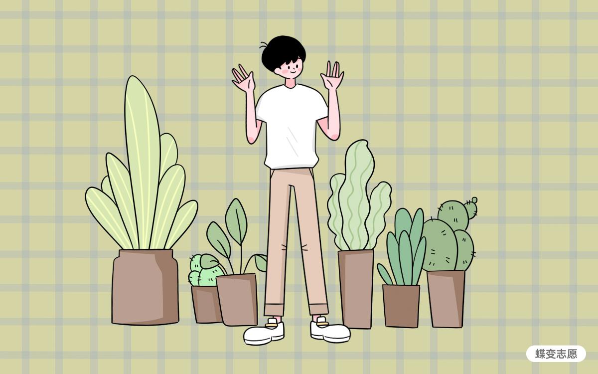 分数不高但很好的985大学 分数不高但很好的985大学