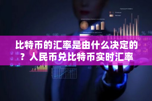 比特币的汇率是由什么决定的?人民币兑比特币实时汇率-**张图片-ZBLOG 比特币的汇率是由什么决定的?<a href=https://www.bestwheel.com.cn/article/833313.html target=_blank class=infotextkey>人民币</a>兑比特币实时汇率-**张图片-ZBLOG