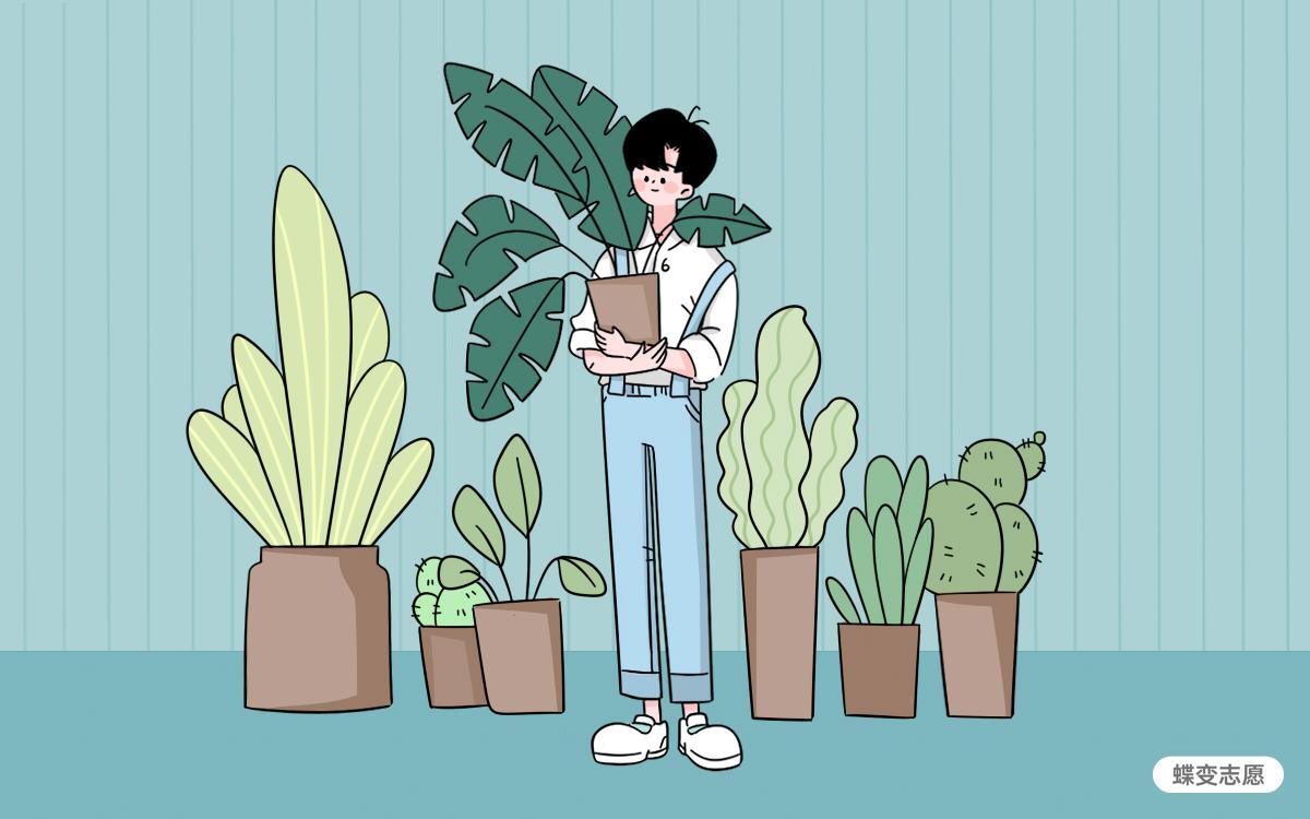 专业解读：光学超材料的本领不只有隐形