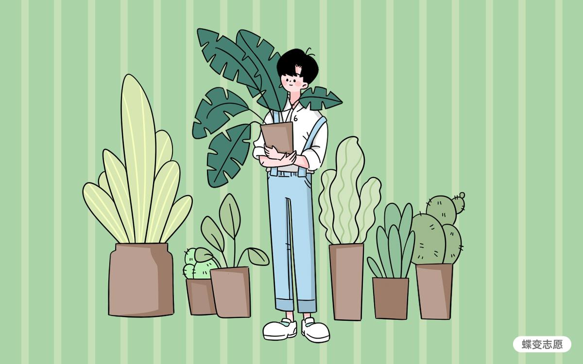 园艺专业就业前景怎么样？就业方向有哪些？