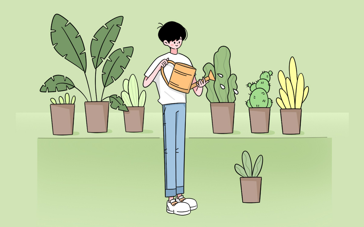 新高考**拿分的三科有哪些