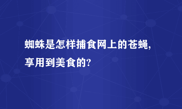 蜘蛛是怎样捕食网上的苍蝇,享用到美食的?