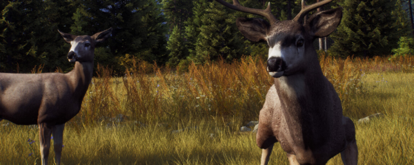 狩猎之道怎么捕获驼鹿 捕捉技巧分享