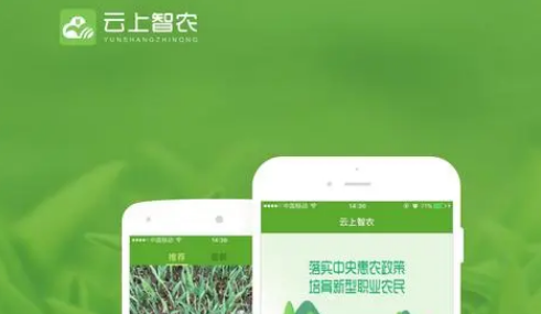 云上智农训练营在哪