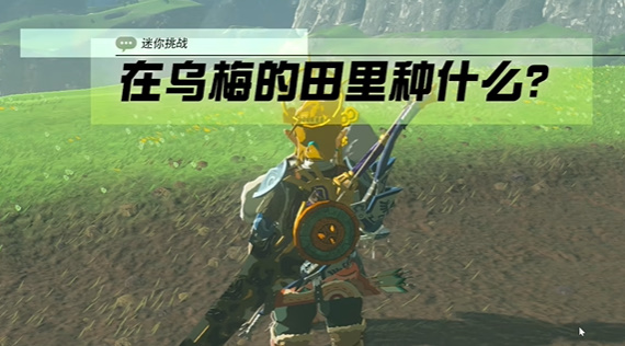 塞尔达在乌梅的田里种什么怎么做-王国之泪在乌梅的田里种什么迷你挑战攻略