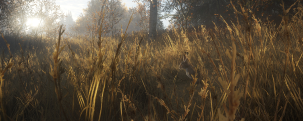 猎人荒野的召唤穴狮头骨在哪 材料采集地点