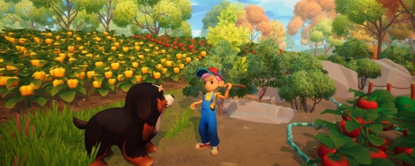 梦幻谷小鸡收藏家怎么解锁 成就解锁攻略