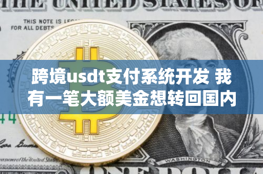 聚合支付系统在现代商业中的革新力量