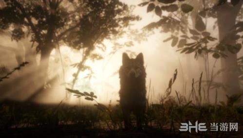 荒野大镖客2怎么对战 常用对战套路汇总攻略