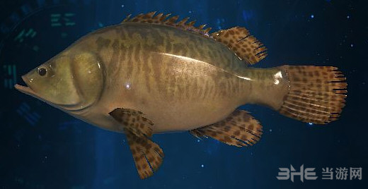 古剑奇谭3鳜鱼在哪里 鳜鱼怎么钓及钓鱼地点介绍
