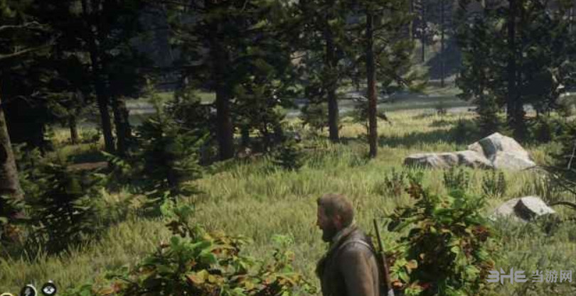 荒野大镖客2黑莓在哪 黑莓分布位置介绍