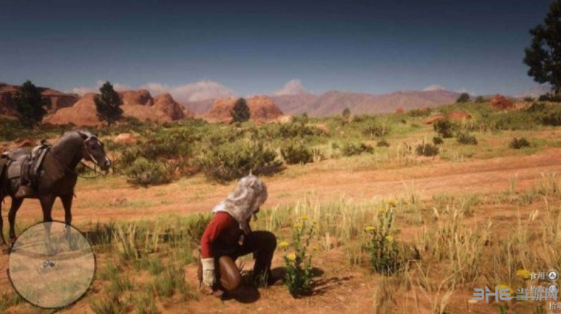 荒野大镖客2英国荳蔻在哪 英国荳蔻分布位置介绍