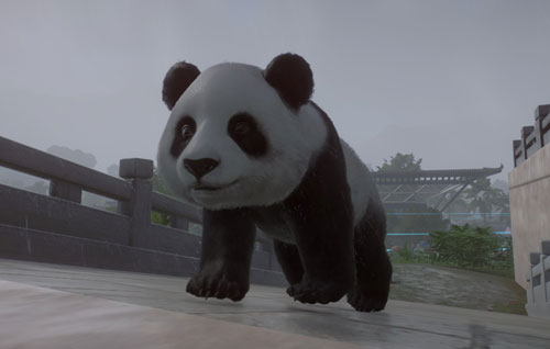 动物园之星动物逃走了怎么办 防止逃走的方法介绍