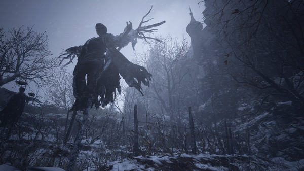 生化危机8极品鸟肉有什么用 详细作用介绍