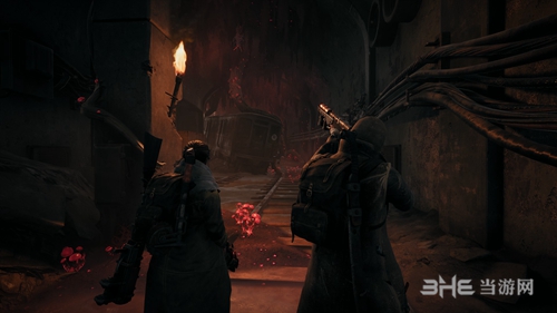 遗迹灰烬重生守护生物戒指怎么获得 获取方法介绍