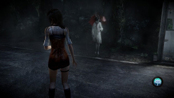 零濡鸦之巫女浮游灵哪里出现 全浮游灵拍摄位置一览