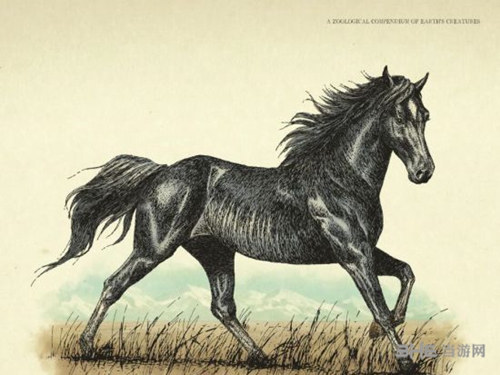 荒野大镖客2马有哪些属性 马匹所有属性介绍