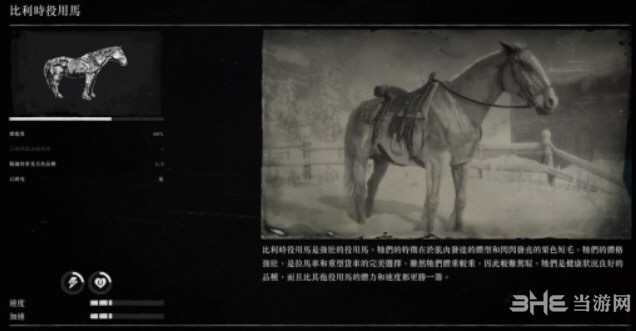 荒野大镖客2比利时役用马怎么样 比利时役用马属性及位置介绍