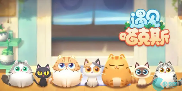 遇见喵克斯怎么生小猫-遇见喵克斯小猫猫怎么获取