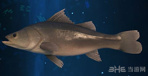 古剑奇谭3鲈鱼在哪里 鲈鱼怎么钓及钓鱼地点介绍