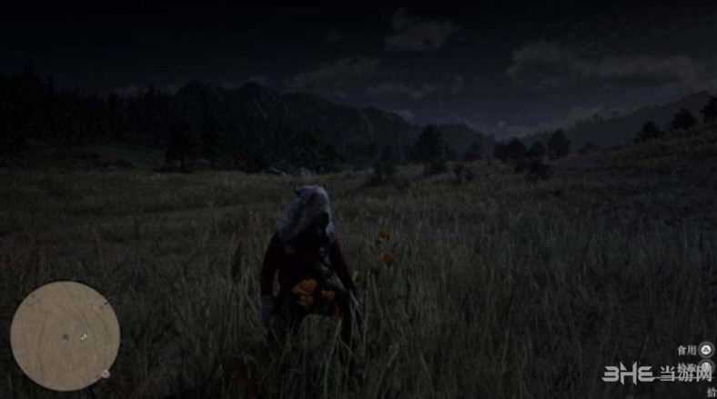 荒野大镖客2草原罂粟在哪 分布位置及获取方法介绍