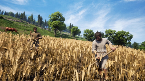 中世纪王朝怎么种田 详细种田心得分享