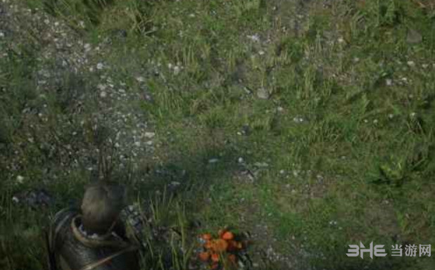 荒野大镖客2褐绒盖牛肝菌在哪 褐绒盖牛肝菌分布位置介绍
