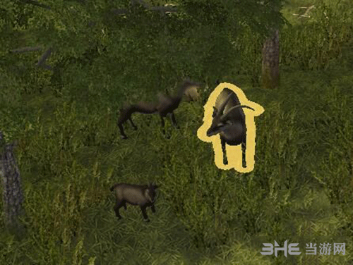 人类黎明狩猎指南 猎物及技巧说明