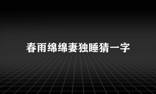 春雨绵绵妻独睡猜一字