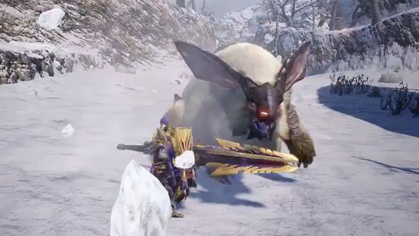 怪物猎人崛起白兔兽怎么打 白兔兽肉质以及弱点一览