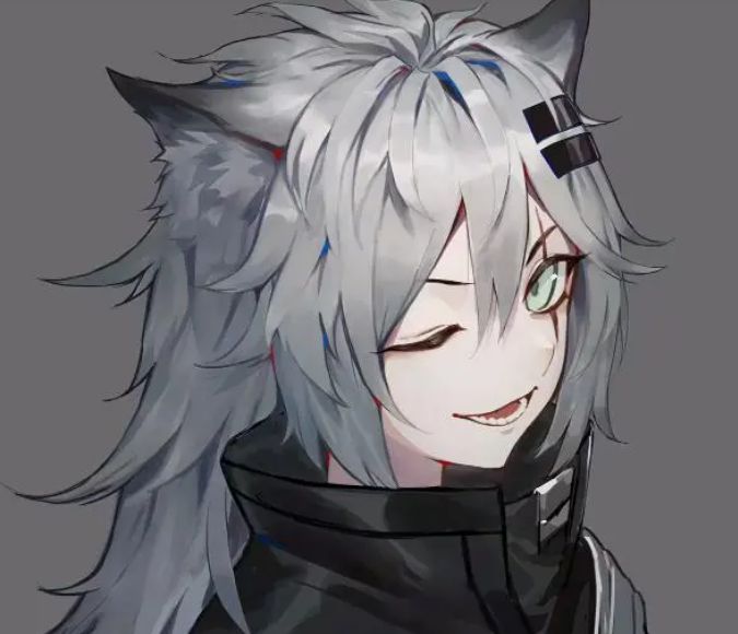 明日方舟领主干员模组推荐