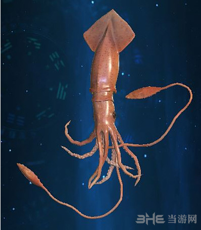 古剑奇谭3鱿鱼在哪钓 鱿鱼所需鱼饵及钓鱼地点介绍