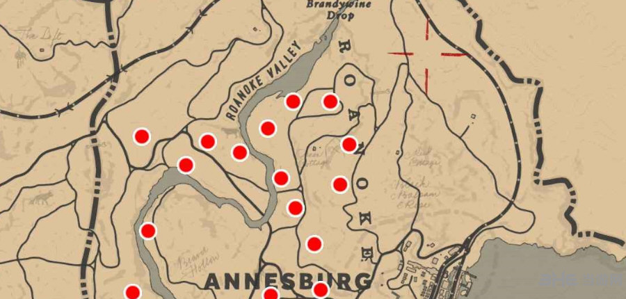 荒野大镖客2麻雀蛋杓兰在哪 麻雀蛋杓兰获得方法介绍