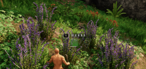 新世界烹饪技能怎么升 技能提升技巧分享