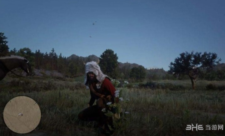 荒野大镖客2野生胡萝卜在哪 分布位置及获取方法介绍