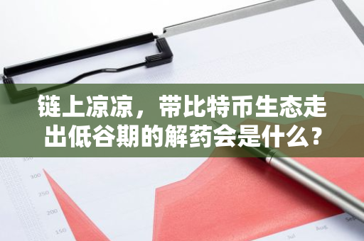 链上凉凉，带比特币生态走出低谷期的解药会是什么？