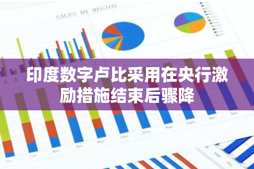 印度数字卢比采用在央行激励措施结束后骤降