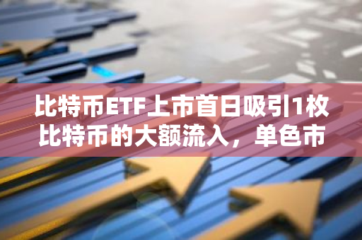 比特币ETF上市首日吸引1枚比特币的大额流入，单色市场表现亮眼
