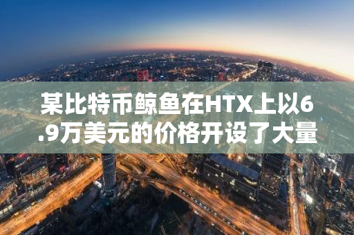 某比特币鲸鱼在HTX上以6.9万美元的价格开设了大量多头头寸