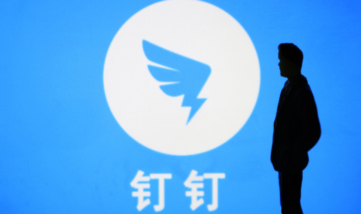 钉钉怎么下载安全白皮书