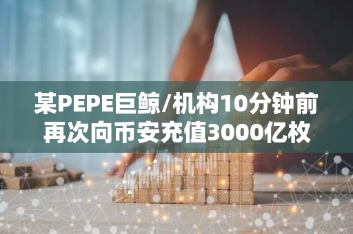 某PEPE巨鲸/机构10分钟前再次向币安充值3000亿枚PEPE