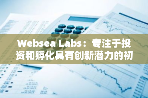 Websea Labs：专注于投资和孵化具有创新潜力的初创公司，特别是在GameFi领域的基金设立