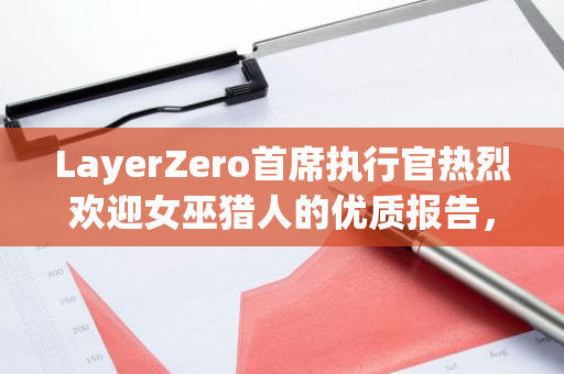 LayerZero首席执行官热烈欢迎女巫猎人的优质报告，并承诺将全力以赴完成审查任务