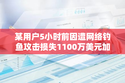 某用户5小时前因遭网络钓鱼攻击损失1100万美元加密资产