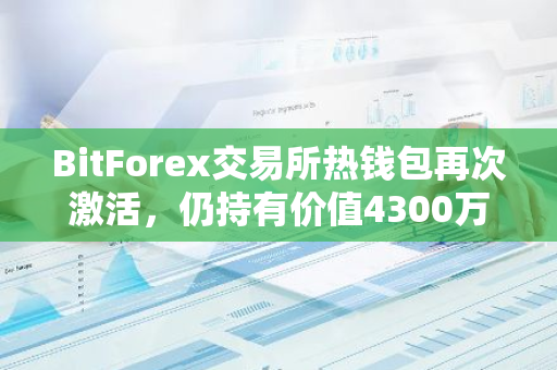 BitForex交易所热钱包再次激活，仍持有价值4300万美元的TRB代币